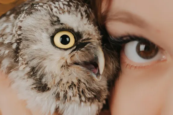 Casino MR Fortune Ondersteuning